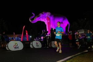 BIB: 
                            <button type="button" onclick="openModal(26544114)" class="btn btn-primary btn-sm float-right btn-popup" data-toggle="modal" data-target=".modal-high-quality">
                        <i class="fas fa-shopping-cart"></i> Add to Cart
                    </button>
                                            <button type="button" onclick="isThisMe(26544114, true)" class="btn btn-success btn-sm float-right btn-popup btn-isme hidden" data-toggle="tooltip" data-placement="bottom" title="นี่คือรูปของคุณใช่ไหม คลิกที่นี่เพื่อเอาเข้าอัลบั้ม">
                        <i class="fas fa-plus"></i> Add to album
                    </button>
                    <button type="button" onclick="isThisMe(26544114, false)" class="btn btn-warning btn-sm float-right btn-popup btn-isnotme hidden">
                        <i class="fas fa-ban"></i> Remove from album
                    </button>